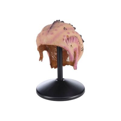145. Fan #1's (Bill Chott) Screen-Matched Mak'tar Head Appliance ### GALAXY QUEST (1999)