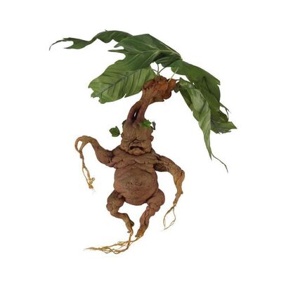 175. Mandrake ### HARRY POTTER AND THE CHAMBER OF SECRETS (2002)