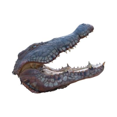 217. Poster-Matched Full-Size Hydraulic Crocodile Insert Head ### LAKE PLACID (1999)