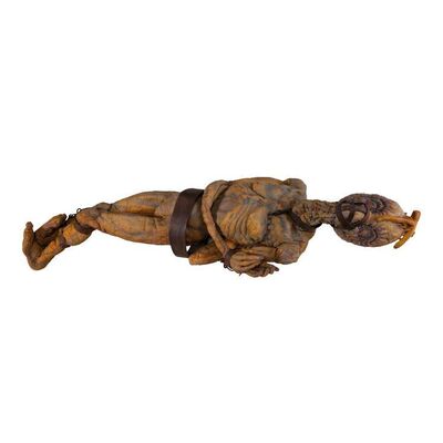 247. Planet Hollywood Collection: Full-Size Hanging Mugwump ### NAKED LUNCH (1991)
