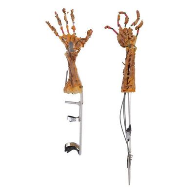 251. Planet Hollywood Collection: Pair of Cable-Controlled Animatronic Freddy Krueger (Robert Englund) Arms ### NIGHTMARE ON ELM STREET 4, A: THE DREAM MASTER (1988)