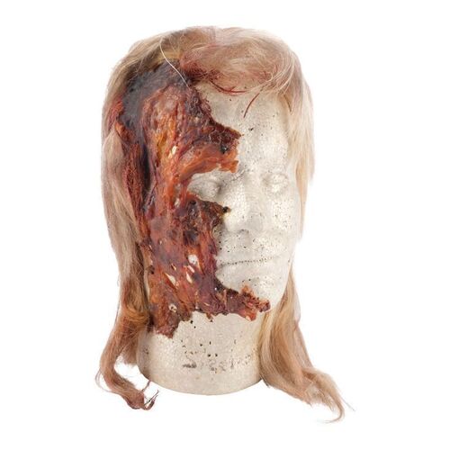305. Khan Noonien Singh's (Ricardo Montalban) Burned Head Makeup Appliance and Wig ### STAR TREK II: THE WRATH OF KHAN (1982)