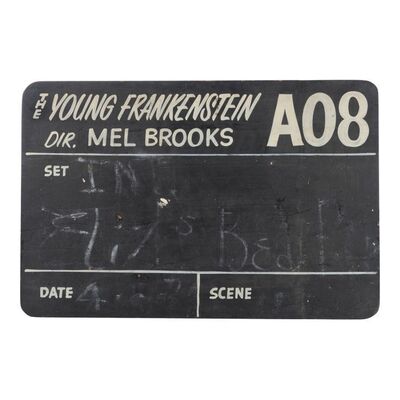 451. A08 Costume Fittings Board ### YOUNG FRANKENSTEIN (1974)