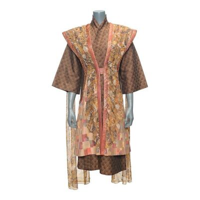 502. Delenn's (Mira Furlan) Screen-Matched Council Robes ### BABYLON 5 (1994-1998)