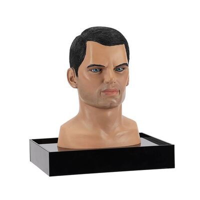 570. Captain Scarlet (Wayne Forester) Reference Head Sculpt ### NEW CAPTAIN SCARLET (T.V. SERIES, 2005)