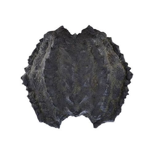 578. Perseus' (Sam Worthington) Scorpion Shield ### CLASH OF THE TITANS (2010)