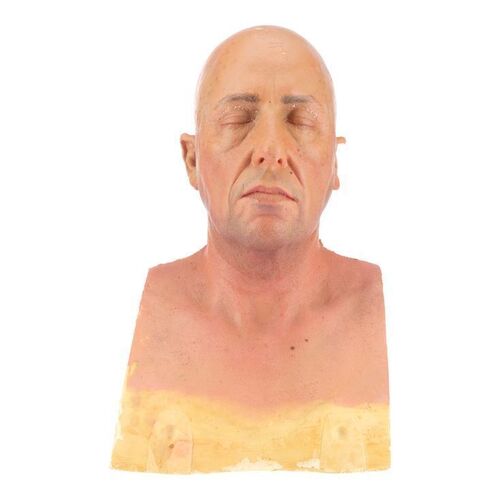 581. Michael Newman (Adam Sandler) Old Age Paint Test Bust ### CLICK (2006)