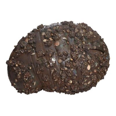 586. Planet Hollywood Collection: Full-Size Cocoon ### COCOON (1985)