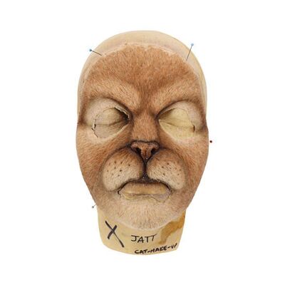 621. Catkind Facial Appliance ### DOCTOR WHO (T.V. SERIES, 2005-2022)