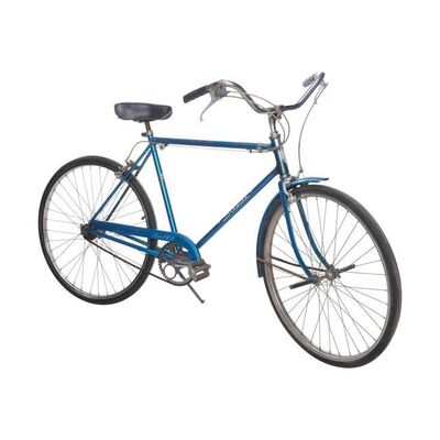 630. Harry Dunne (Jeff Daniels) and Lloyd Christmas' (Jim Carrey) Bicycle ### DUMB AND DUMBER TO (2014)