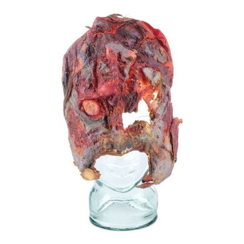 672. Tom Sullivan Collection: Deadite Cheryl Williams' (Ted Raimi) Finale Facial Appliance ### THE EVIL DEAD (1981)