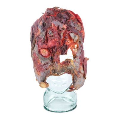 672. Tom Sullivan Collection: Deadite Cheryl Williams' (Ted Raimi) Finale Facial Appliance ### THE EVIL DEAD (1981)