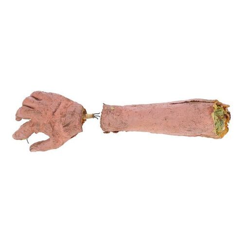 675. Tom Sullivan Collection: Bruce's (Bruce Campbell) Special Effects Arm and Hand ### WITHIN THE WOODS (1978)