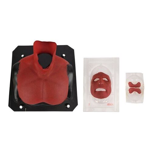 791. Hellboy's (Ron Perlman) Prosthetic Appliances ### HELLBOY (2004)