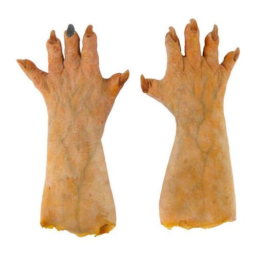 804. Pair of Creature Gloves ### THE ISLAND OF DR. MOREAU (1996)