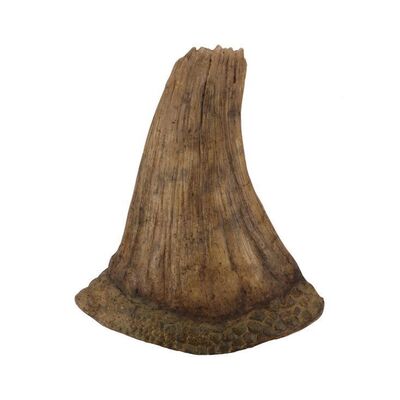 857. Broken Triceratops Horn ### JURASSIC WORLD (2015)