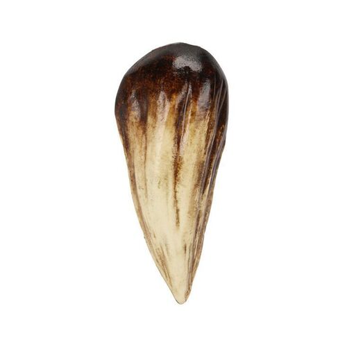 858. Indominus Rex Tooth ### JURASSIC WORLD (2015)