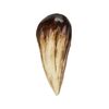 858. Indominus Rex Tooth ### JURASSIC WORLD (2015)