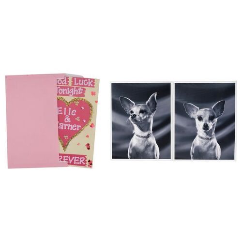 875. Elle Woods' (Reese Witherspoon) Pairs of Engagement Signs and Pictures of Bruiser's (Moonie) Mother ### LEGALLY BLONDE (2001)/LEGALLY BLONDE 2: RED, WHITE & BLONDE (2003)