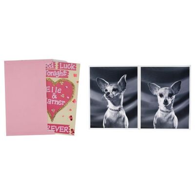 875. Elle Woods' (Reese Witherspoon) Pairs of Engagement Signs and Pictures of Bruiser's (Moonie) Mother ### LEGALLY BLONDE (2001)/LEGALLY BLONDE 2: RED, WHITE & BLONDE (2003)