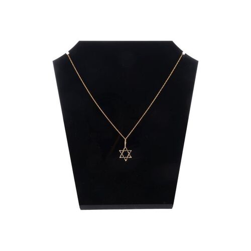 960. Ziva David's (Cote de Pablo) Star of David Necklace ### NCIS (T.V. SERIES, 2003 - PRESENT)
