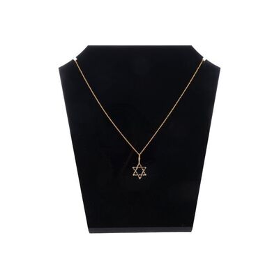 960. Ziva David's (Cote de Pablo) Star of David Necklace ### NCIS (T.V. SERIES, 2003 - PRESENT)