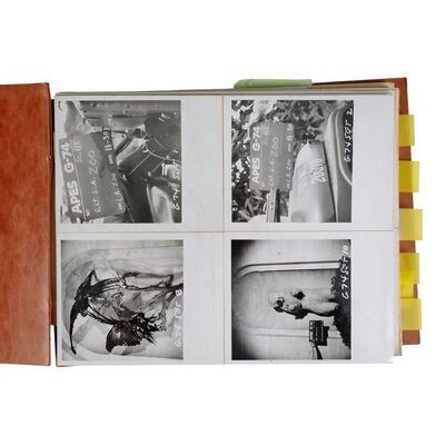986. Continuity Photo Album ### ESCAPE FROM THE PLANET OF THE APES (1971)