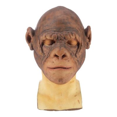 989. Chimp (Chet Zar) Paint Test Mask ### PLANET OF THE APES (2001)