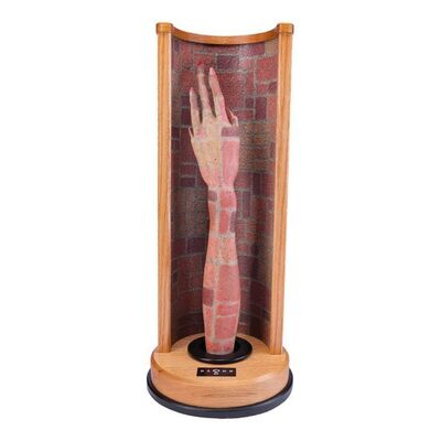 1061. Backup Camouflage Alien Arm ### SIGNS (2002)