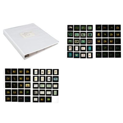 1197. Binder of 79 Production Slides ### STAR WARS: EWOKS (1985-1986)