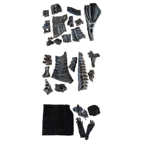483. Collection of Xenomorph Queen Components ### ALIENS (1986)