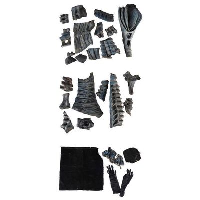 483. Collection of Xenomorph Queen Components ### ALIENS (1986)