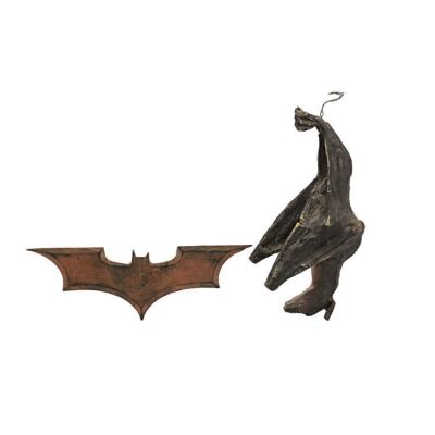 45. Stunt Batarang and Bat ### BATMAN BEGINS (2005)