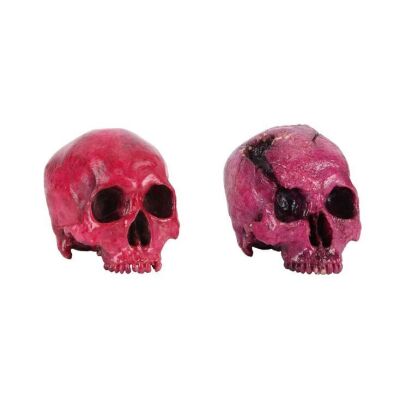99. Pair of Crucifixion Multiverse Skulls ### DEADPOOL & WOLVERINE (2024)