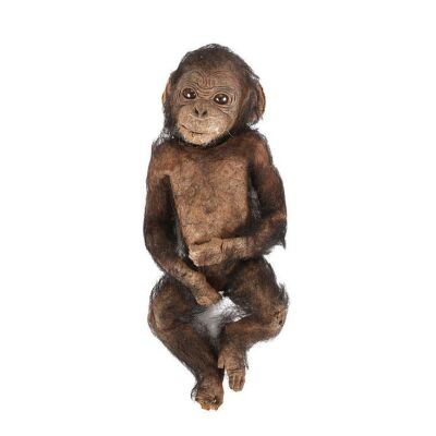 148. Baby Chimp "Lucy" ### GREYSTOKE: THE LEGEND OF TARZAN, LORD OF THE APES (1984)