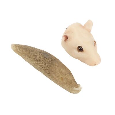 155. Scabbers the Rat Silicone Head and Silicon Slug ### HARRY POTTER AND THE CHAMBER OF SECRETS (2002)