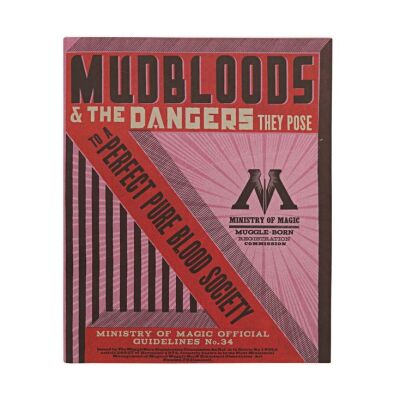 164. Ministry of Magic Anti-Mudblood Propaganda ### HARRY POTTER AND THE DEATHLY HALLOWS: PART 1 (2010)