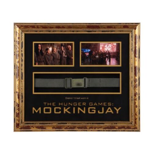 180. District 13 Belt ### HUNGER GAMES, THE: MOCKINGJAY - PART 2 (2015)