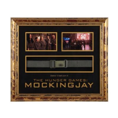 180. District 13 Belt ### HUNGER GAMES, THE: MOCKINGJAY - PART 2 (2015)