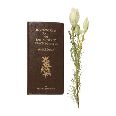 181. Bruce Banner's (Edward Norton) Botany Book and Flower ### INCREDIBLE HULK, THE (2008)