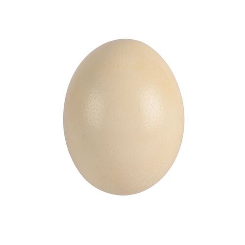 238. Dinosaur Egg ### JURASSIC PARK III (2001)