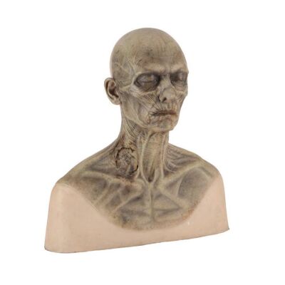 300. Concept Zombie Bust ### PRIDE AND PREJUDICE AND ZOMBIES (2016)