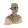 300. Concept Zombie Bust ### PRIDE AND PREJUDICE AND ZOMBIES (2016)