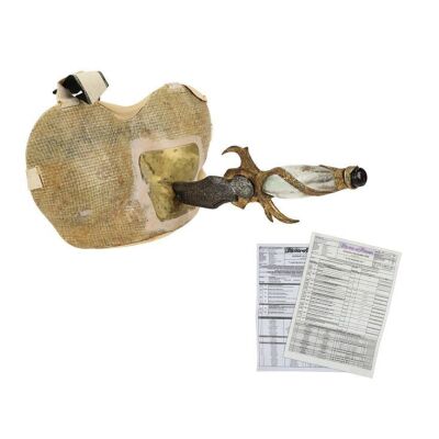 301. SFX Dagger of Time with Stab Plate and Pair of Call Sheets ### PRINCE OF PERSIA: THE SANDS OF TIME (2010)