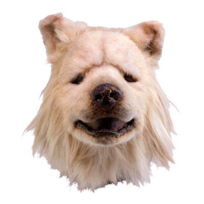 298. Production-Made Zowie Dog Head Skin ### PET SEMATARY II (1992)