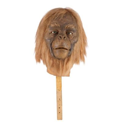 306. Orangutan Head Replica ### PLANET OF THE APES (1968)