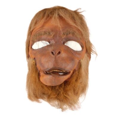 308. 1974 Don Post Studios Dr. Zaius (Maurice Evans) Mask Replica ### PLANET OF THE APES (1968)
