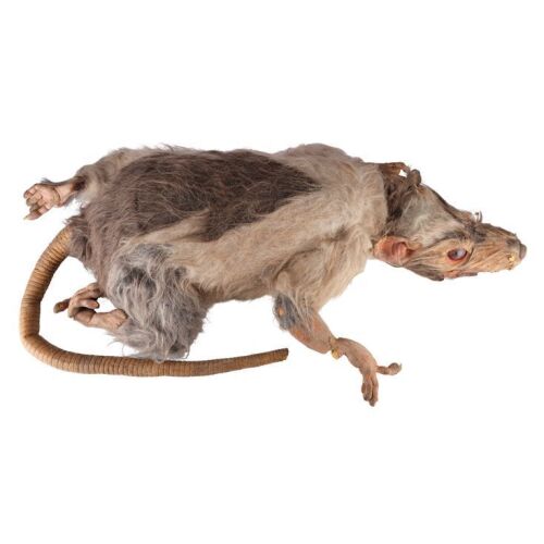 400. Oversized Graveyard Rat Puppet ### TRILOGY OF TERROR II (1996)