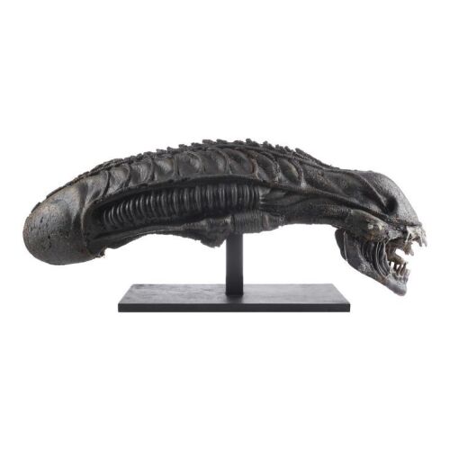 6. Xenomorph Warrior Head Replica from Original Molds ### ALIENS (1986)