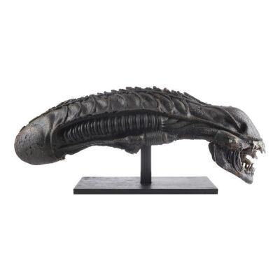 6. Xenomorph Warrior Head Replica from Original Molds ### ALIENS (1986)